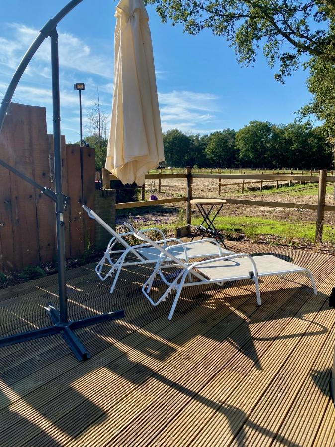Luxe Finse Kota Met Jacuzzi En Saunabarrel De Zandhoef Eersel Dış mekan fotoğraf